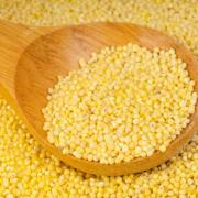 depositphotos_42375541-stock-photo-wooden-spoon-with-millet-is.jpg
