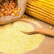 xmaismehl-corn-flour-valentin-balan-fotolia197833971.jpg.pagespeed.ic.-MwPjAiRk3.jpg