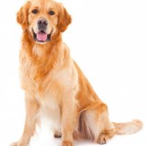 canstockphoto9468204-e1423245411667.jpg