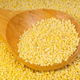 depositphotos_42375541-stock-photo-wooden-spoon-with-millet-is.jpg