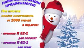 продолжение акций.jpg