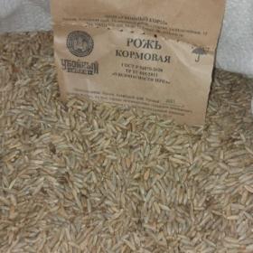 рожь.jpg