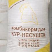 для кур.jpg