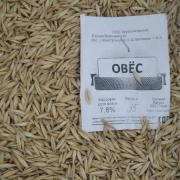 овес.jpg