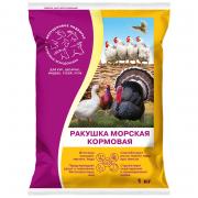 ракушка.jpg